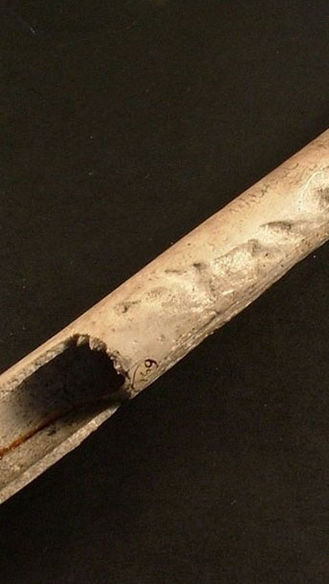 Alat Musik Berusia 4.500 Tahun Ditemukan Terbuat dari Tulang Manusia