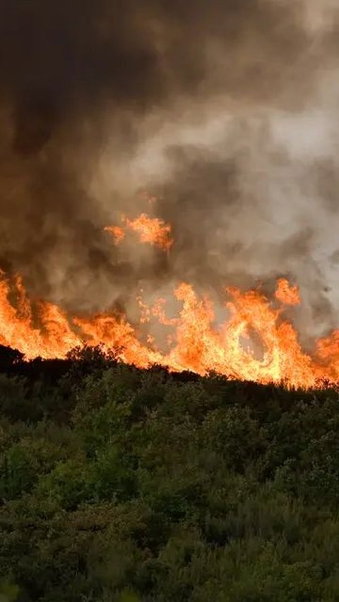 1 Hektare Lahan di Bengkalis Dibakar, Polisi Masih Buru Dalangnya