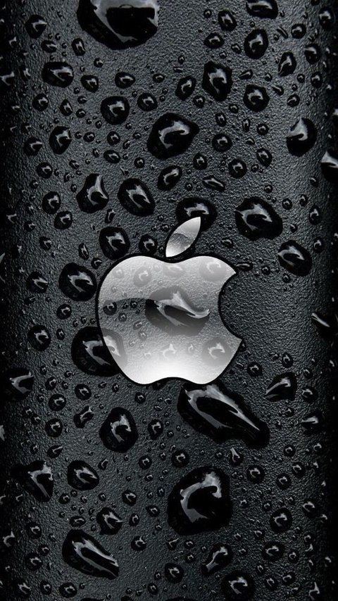 Apple Will Soon Launch 'iPhone 15' with Some New Features