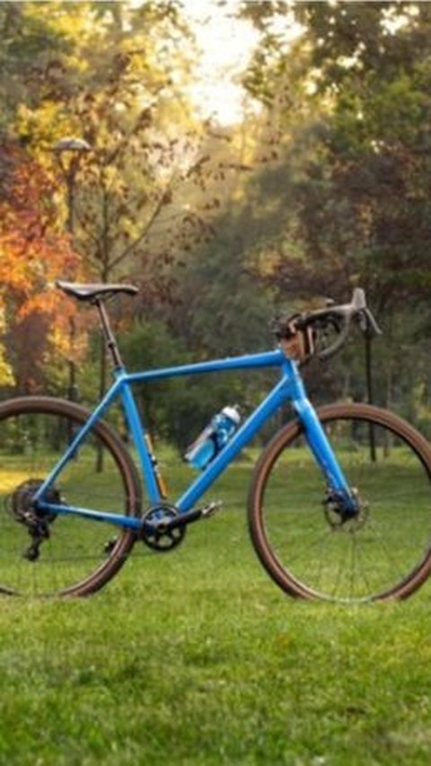 Indian Man Arrested for Stealing Bicycle 38 Years Ago