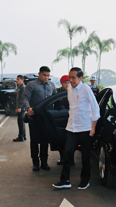 VIDEO: Jokowi Anggap Kecil Serangan Kasar Rocky Gerung, Pilih Fokus Kerja