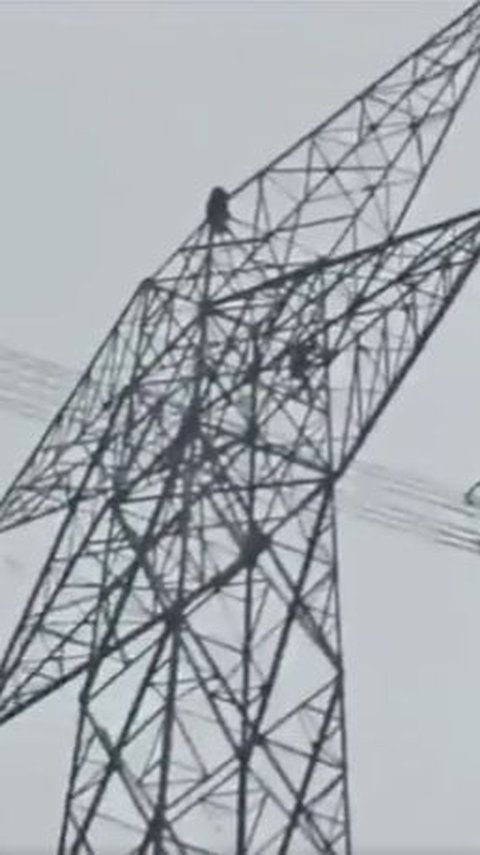 Angry at Boyfriend, Indian Girl Climbs 80-Feet-High Electricity Tower