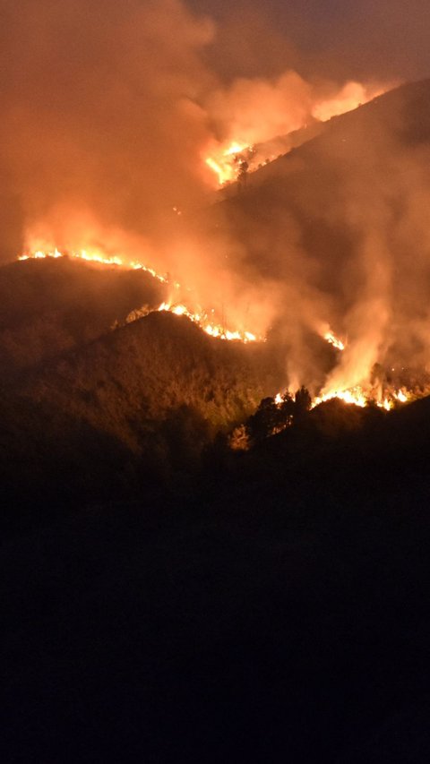 Gunung Bromo Ditutup Bagi Wisatawan Gara-gara Kebakaran, Hanya Dibuka untuk Warga Adat Ngadas & Ranupani