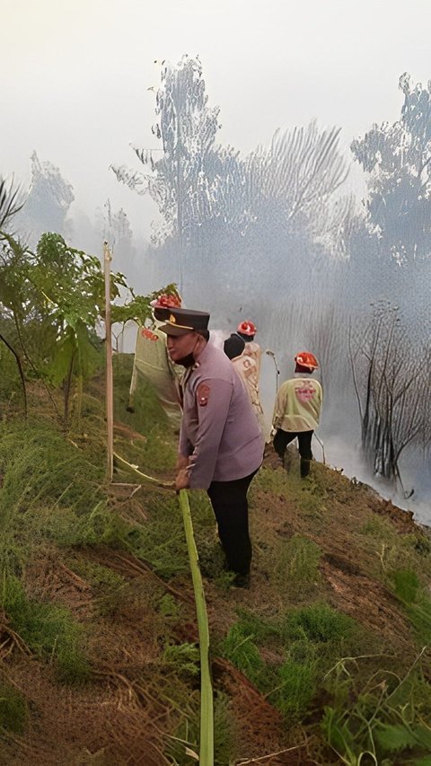 Kebakaran Gunung Bromo Merembet hingga Poncokusumo Malang