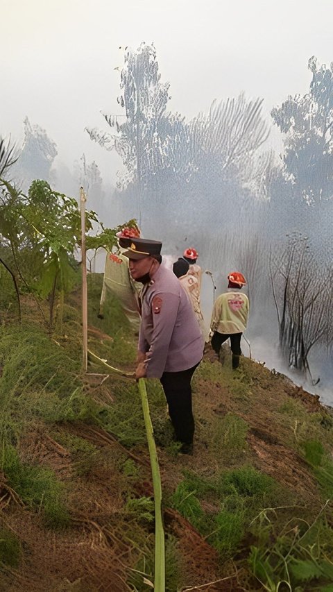 Fire on Mount Bromo Spreads to Poncokusumo Malang