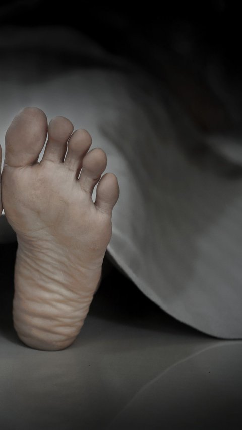 Kronologi Lengkap dan Fakta-Fakta Suami Bunuh Istri di Bekasi, Dilakukan di Depan Anak Balitanya