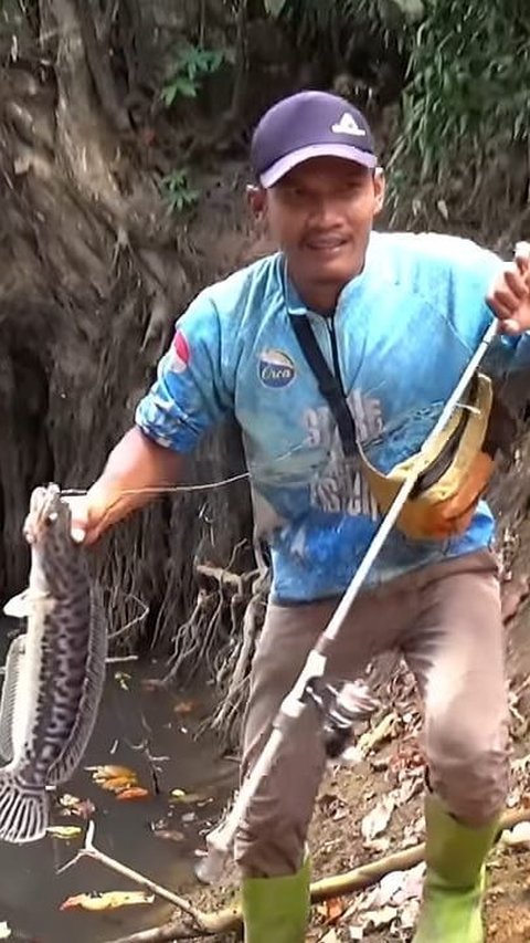 Apesnya Pemancing Ini, Tangan Mati Rasa Dililit Penunggu Hutan Kalimantan, Kepikiran Nyaris Pindah Alam