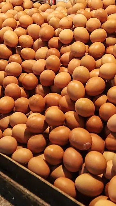 Pemerintah Gelontorkan Rp400 Miliar untuk Bansos Ayam dan Telur, Ini Daftar Penerimanya