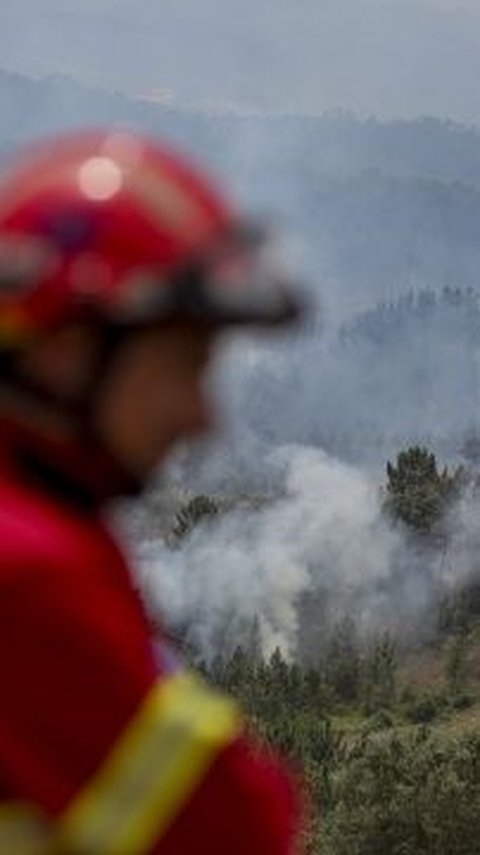 Saat Jenderal TNI Khawatir Kebakaran Hutan Bikin Martabat Bangsa Jatuh di Negara Tetangga