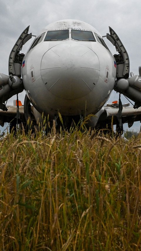 FOTO: Kondisi Pesawat Airbus Rusia yang Mendarat Darurat di Ladang Siberia Akibat Masalah pada Sistem Hidrolik