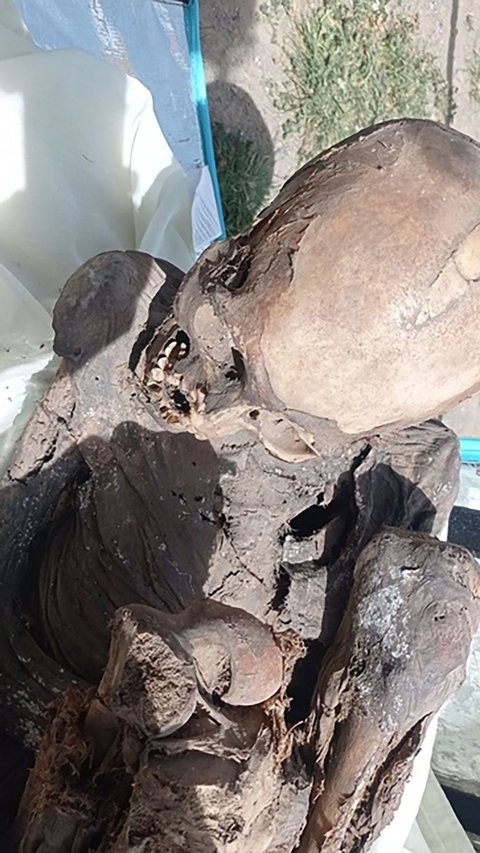 Man Carrying 800-Year-Old Mummified Corpse in Food Delivery Bag
