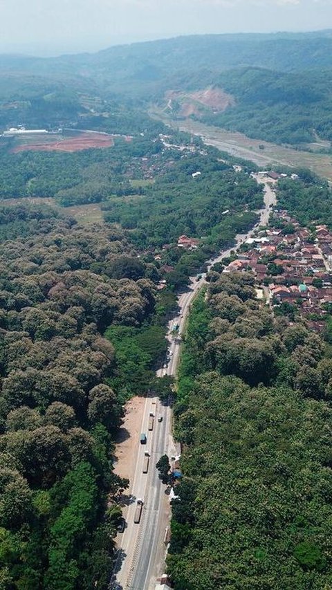 Mengenal Alas Roban, Kawasan Hutan di Jawa Tengah yang Terkenal Angker
