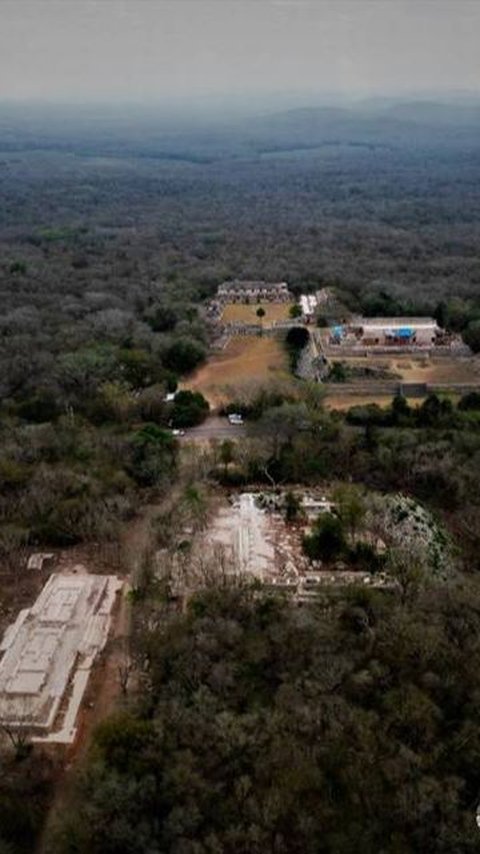 Dua Rumah Ditemukan di Tengah Hutan, Salah Satunya Mirip Istana