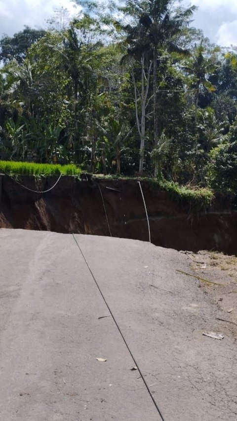 Penampakan Jalan di Kawasan Wisata di Tegallalang- Tampaksiring Bali Amblas 50 Meter, Ini Penyebabnya