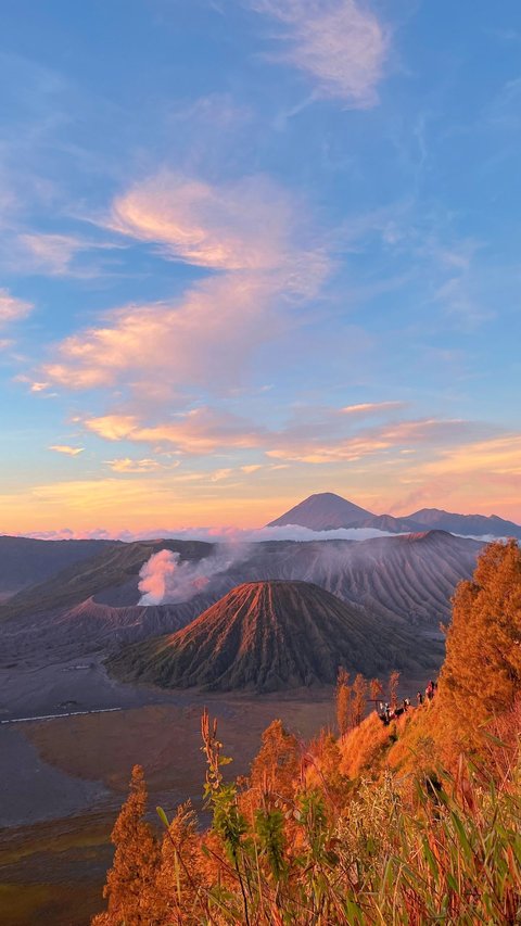 Millions of Country Damages, Prospective Bridegroom of Bromo Fire Remains Calm During Examination, Busy Playing HP