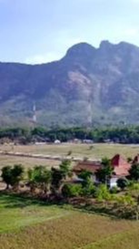 Megahnya Rumah Milik Bupati Wonogiri, Lokasinya Ada di Tengah-tengah Hamparan Sawah Luas