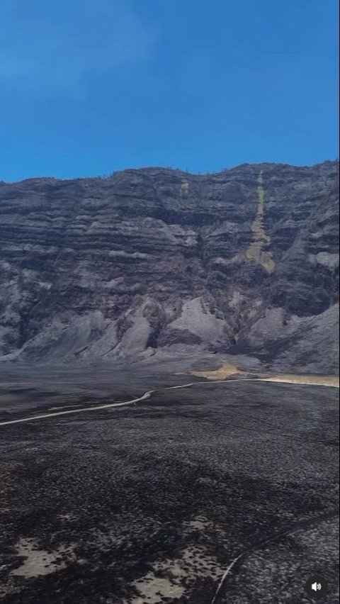 Recent Portrait of the Burned Bromo Savannah, Green Scenery Turns Black and Full of Ash