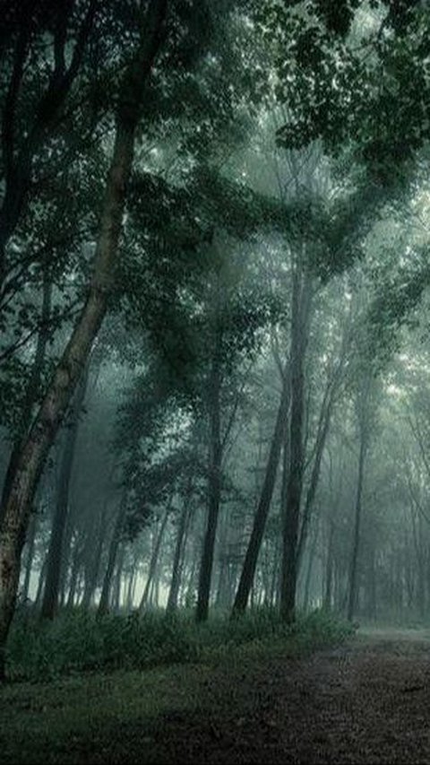 Scary Story of Grandma Living in a Bamboo Hut Appears in a Dream to Collect a Promise Made 10 Years Ago