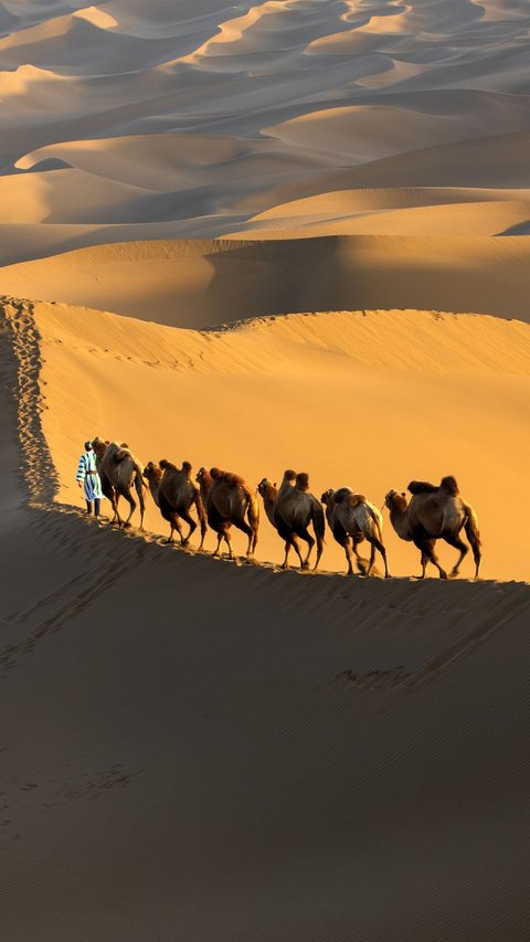 Gurun Sahara Dulu Pernah Hijau, Peneliti Ungkap Kapan dan Penyebabnya