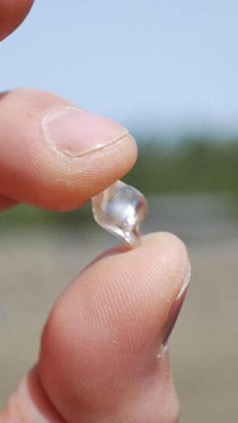 7-Years-Old Kid Found A 2,95 Carat Diamond!