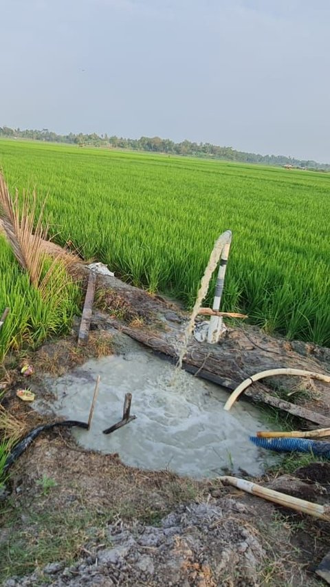 Selamatkan 5.500 Ha Sawah, Kementan Bantu Lampung Selatan 20 Unit Pompa Air Submersible.