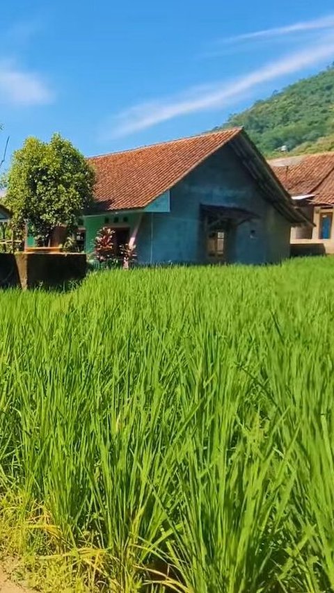 Kampung di Sumedang Ini Unik, Masih Jaga Tradisi Zaman Jepang di Tiap Rumahnya