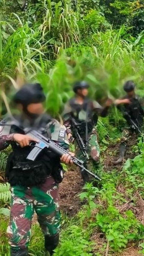 Belah Hutan-Lewati Sungai, Pasukan TNI Tewaskan 5 KKB saat Kontak Tembak di Pegunungan Papua