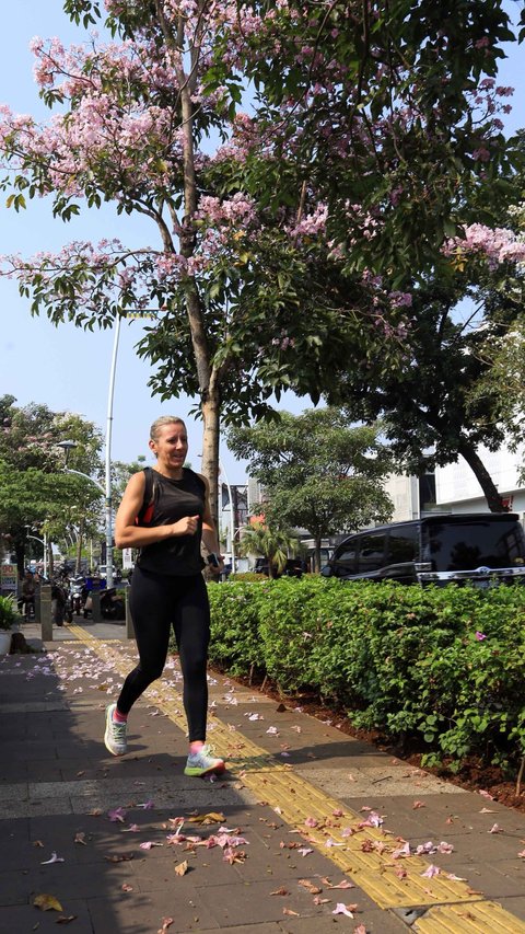 Jakarta Rasa Tokyo: Bunga Tabebuya Bermekaran di Kemang Raya