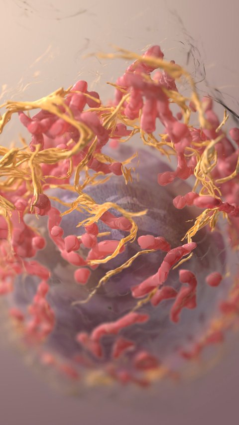 Tanda-Tanda Metastasis, Penyebaran Sel Kanker ke Jaringan Tubuh yang Perlu Diwaspadai