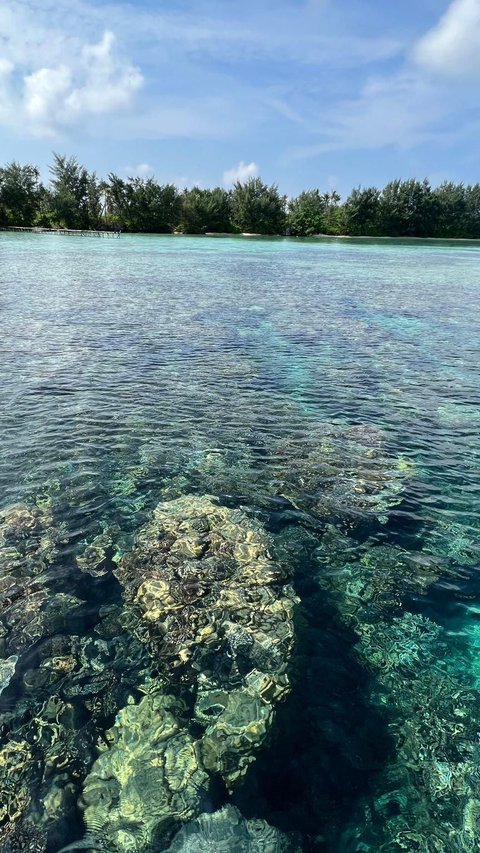 Wisata Karimun Jawa, Pulau Tersembunyi, dan Musim Terbaik Mengunjunginya