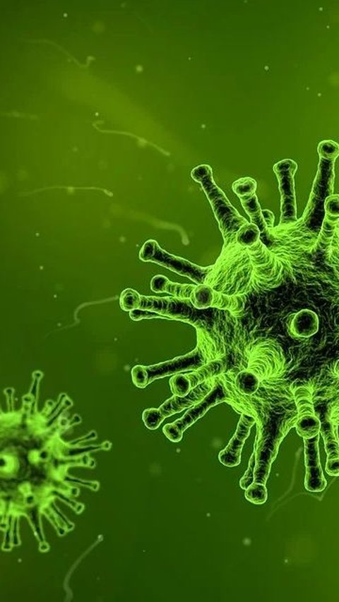 Cara Penularan Virus Nipah antar Manusia, Ketahui Ciri-ciri Orang yang Terinfeksi