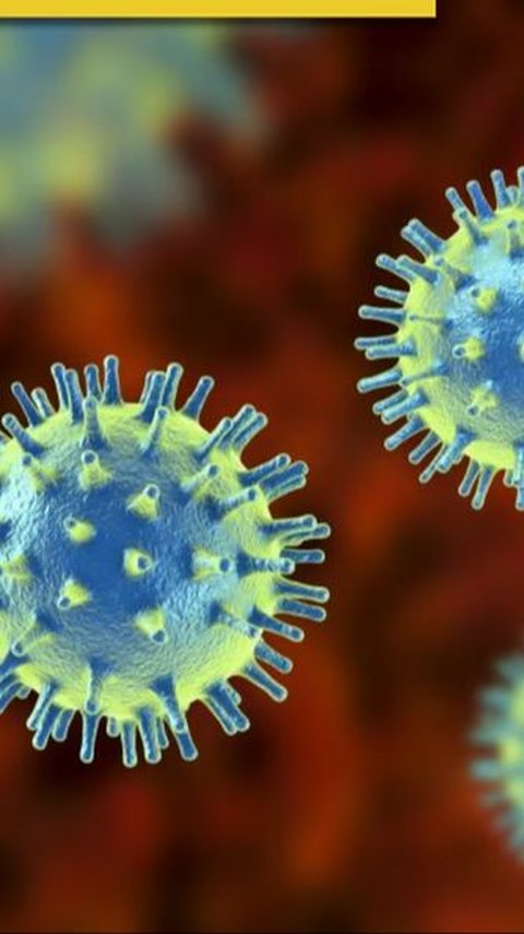 What is Nipah Virus in India and Why is it Dangerous?