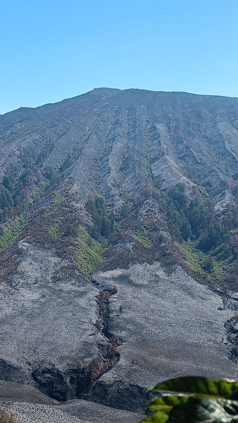 Dibuka Kembali Usai Kebakaran, Begini Potret Terbaru Gunung Bromo