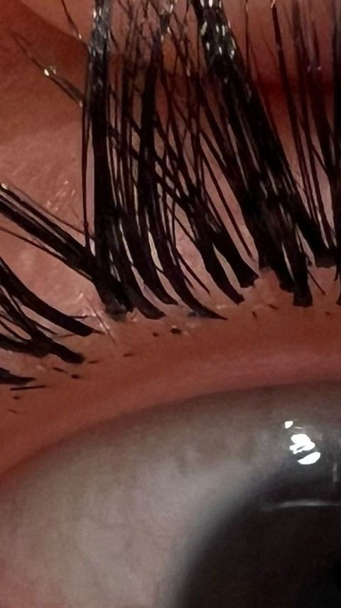 Salon Cuts Off Woman's Real Lashes When Correcting Eyelash Procedure