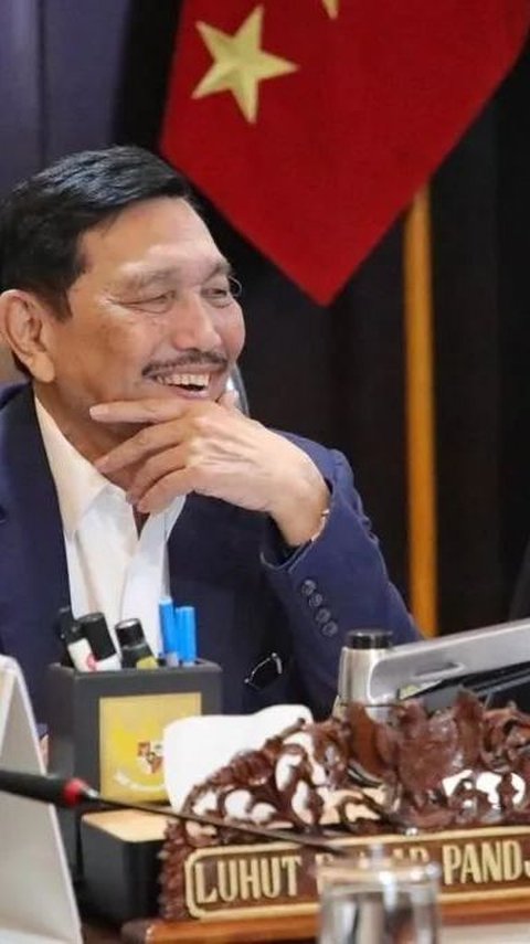 VIDEO: Luhut Soal Penemuan 'Harta Karun' Emas Hitam di Papua 