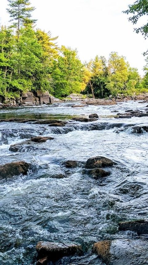 24 September 2023 Peringatan Hari Sungai Sedunia, Ketahui Sejarah dan Tema Tahun Ini