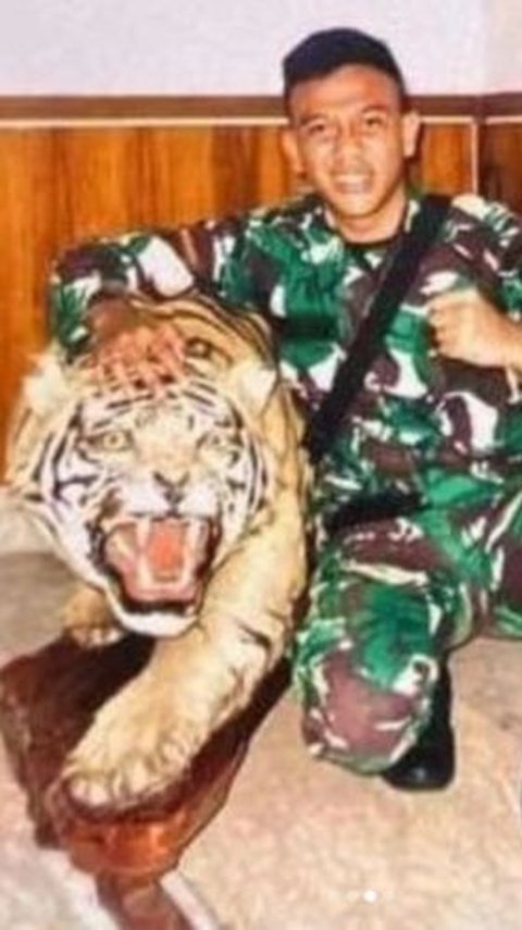 Anggota TNI Nekat Kuliti Patung Harimau Milik Komandan, Ditangkap PM Begini Nasibnya