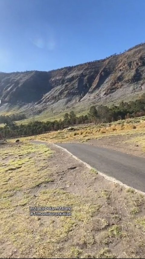 Mulai Menghijau dan Bersemi Kembali, Begini Kondisi Terbaru Savana Bromo Usai Kebakaran