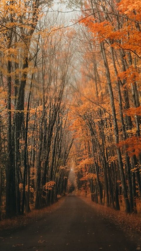 Top 40 Fall Quotes Of All Time To Make Your Autumn Colorful
