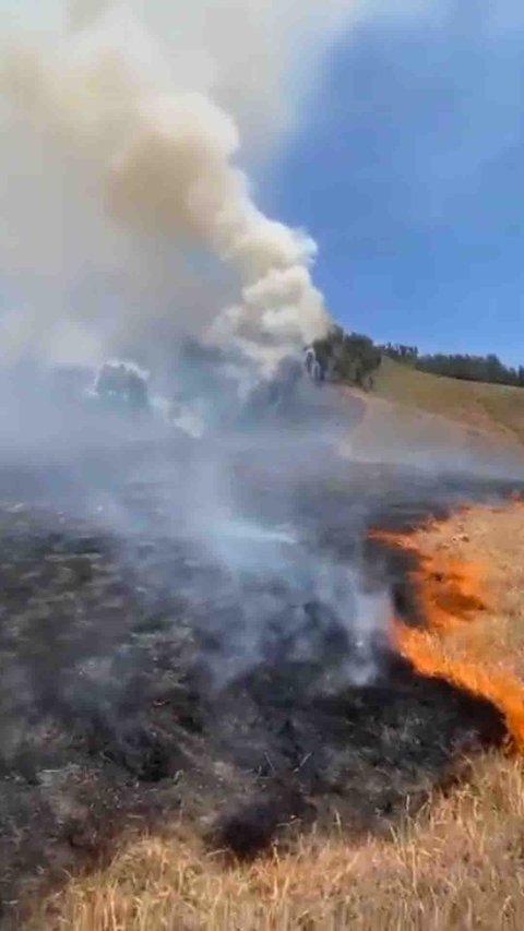 This Couple's PreWedding Photo Ends Up Burning 500 Hectares of Land!