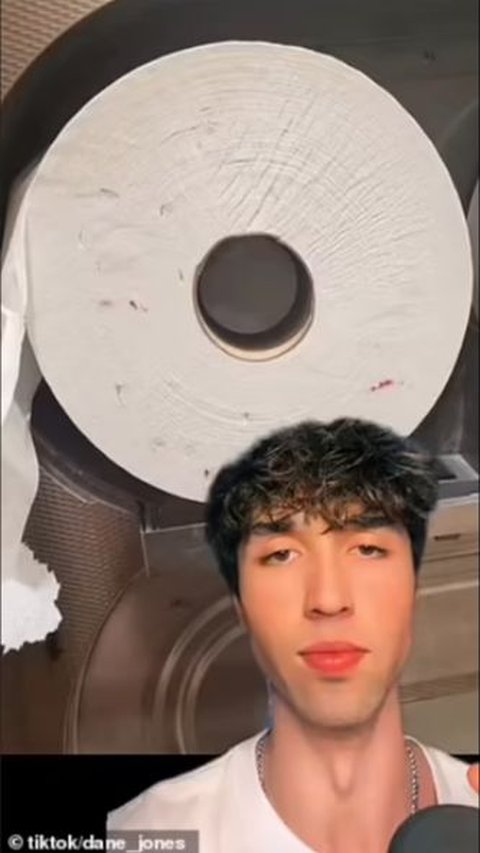 TikToker Explains the Dangers of Public Toilet Paper with Red Spot Stains