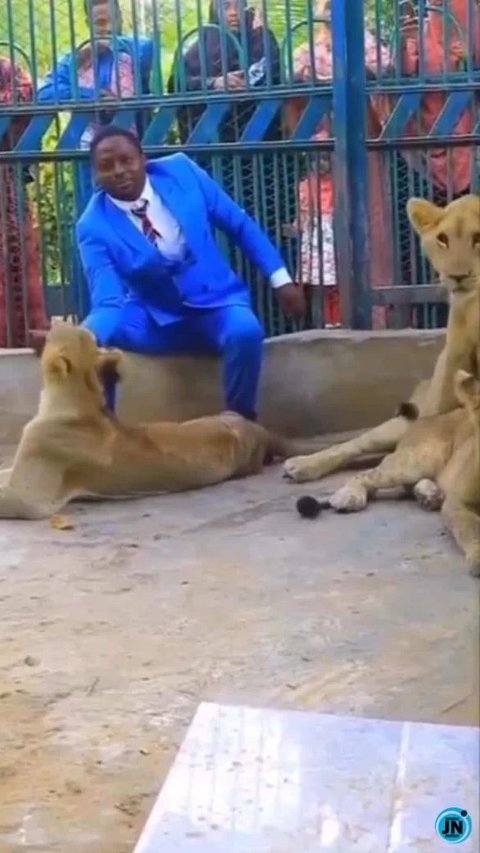African Pastor Goes into Lion's Cage to Show That God Would Protect Him