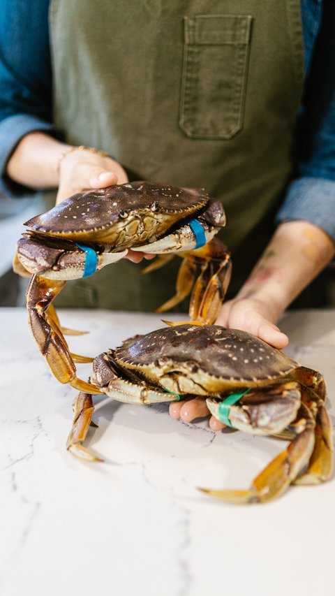 7 Interpretations of Dreaming about Crabs According to Javanese Primbon, Often Associated with Good Signs