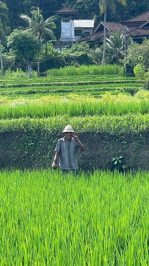 BPS Sebut Nilai Tukar Petani Nasional Naik Hingga 111,85