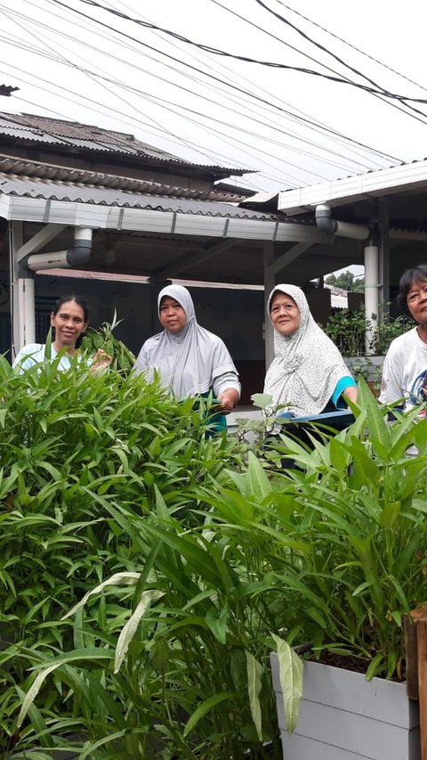 PNM Ajak Nasabah Mekaar Studi Banding Budidaya Tanaman Hortikultura