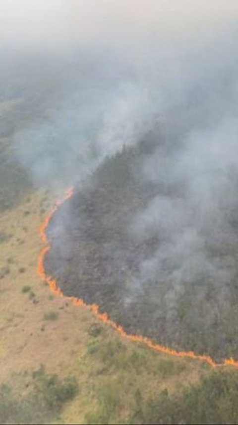 Kebakaran Gunung Arjuno-Welirang Meluas, Akses Wisata Alam Ditutup