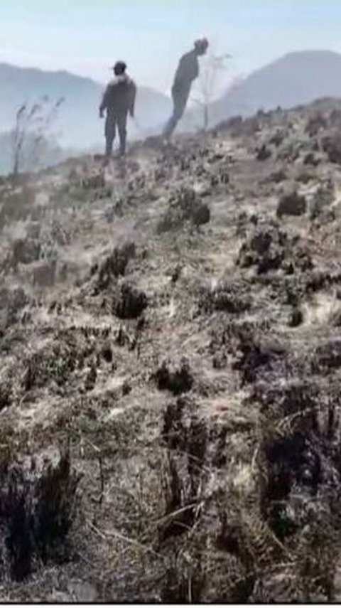 Kebakaran di Taman Nasional Bromo Tengger Semeru Padam, Total 661 Hektare Lahan Terdampak