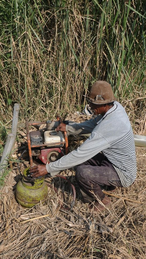 FOTO: Petani Konversi Pompa Air BBM ke Gas Elpiji untuk Aliri Sawah saat Fenomena El Nino