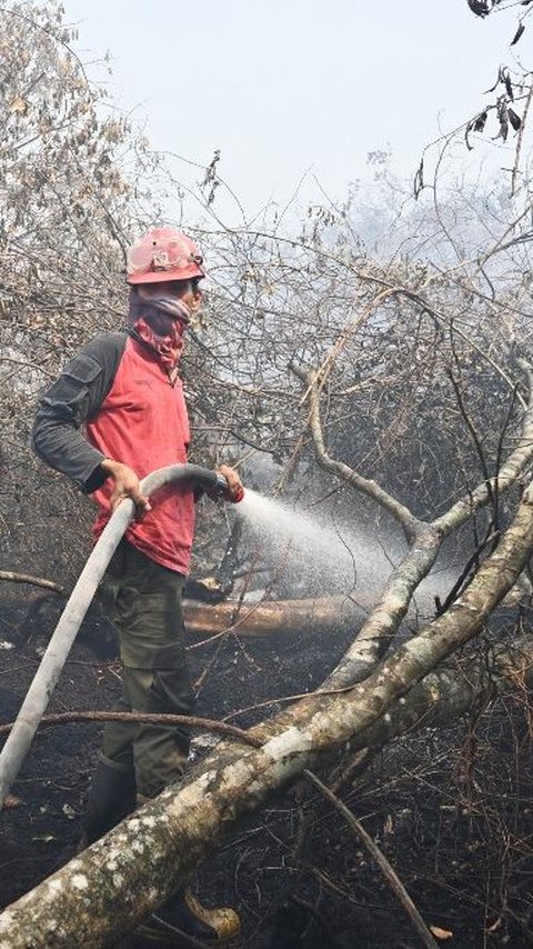 Kabut Asap Dampak Karhutla Menggila di Palembang, Penderita ISPA Naik Drastis