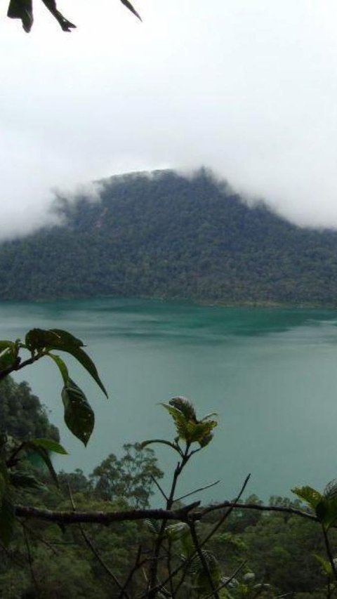 Danau Laut Tinggal, Wisata Hidden Gem di Sumatra Barat Cocok Untuk Pendaki